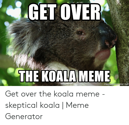 Detail Koala Meme Generator Nomer 35