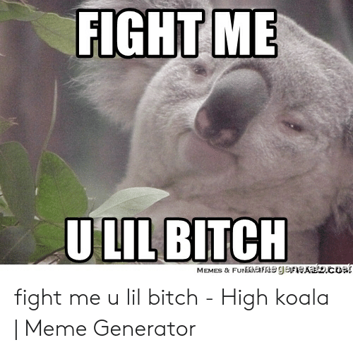 Detail Koala Meme Generator Nomer 41