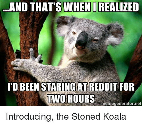 Detail Koala Meme Generator Nomer 43