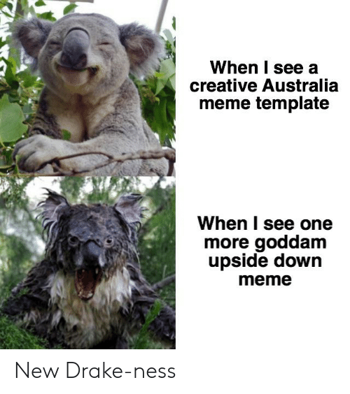 Detail Koala Meme Generator Nomer 53