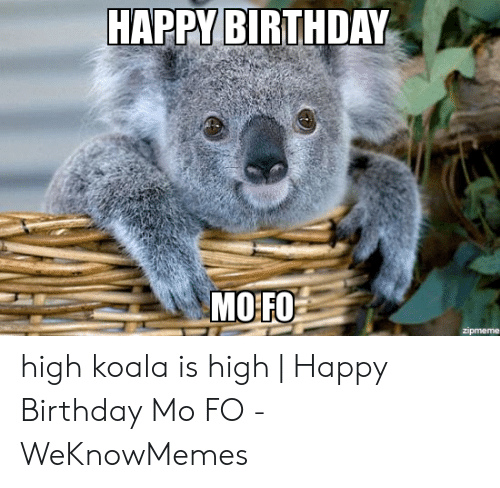 Detail Koala Meme Generator Nomer 55