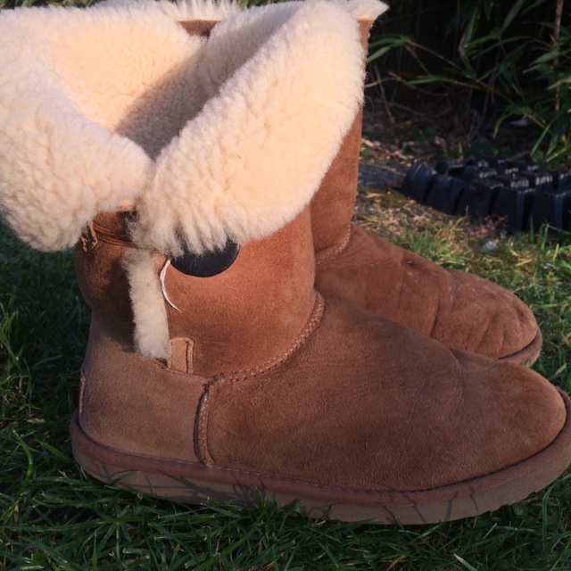 Detail Koala Ugg Nomer 30