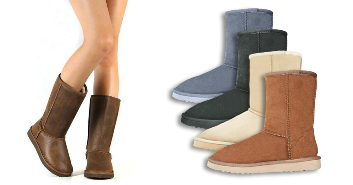 Detail Koala Ugg Nomer 46