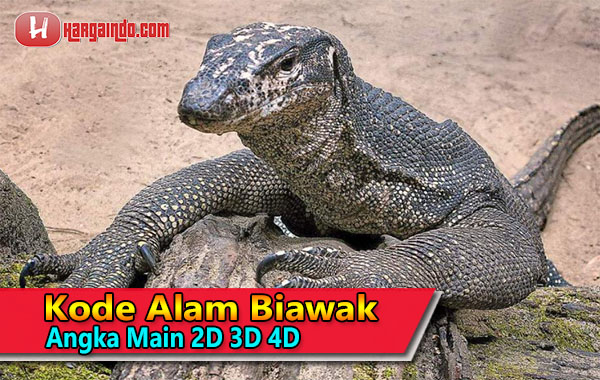 Detail Kode Alam Biawak Masuk Rumah Nomer 6