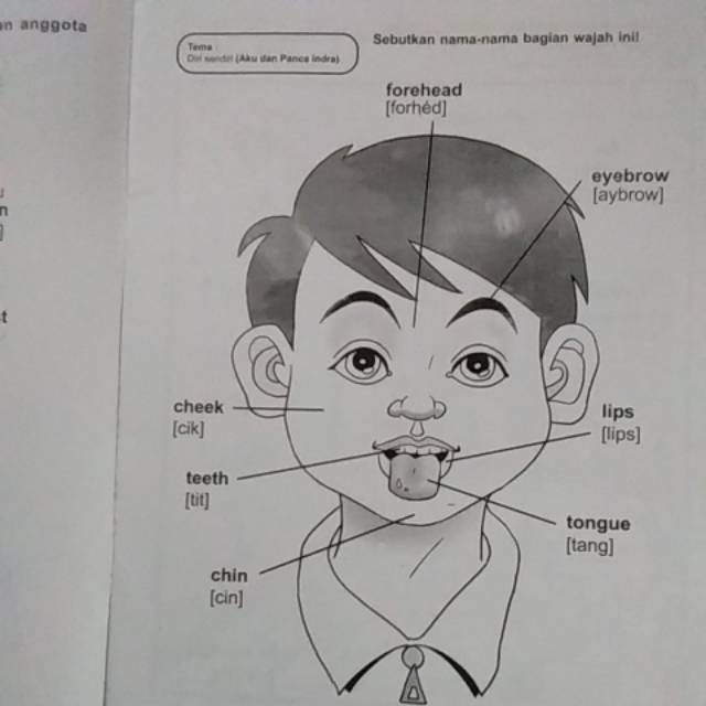 Detail Menggambar Dalam Bahasa Inggris Nomer 4