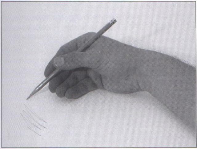 Detail Menggambar Dengan Pensil Nomer 46