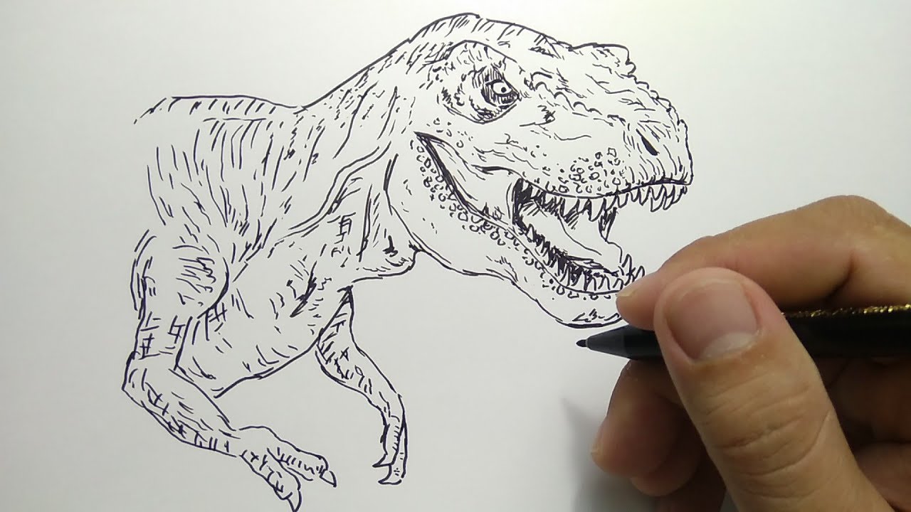 Detail Menggambar Dinosaurus T Rex Nomer 11