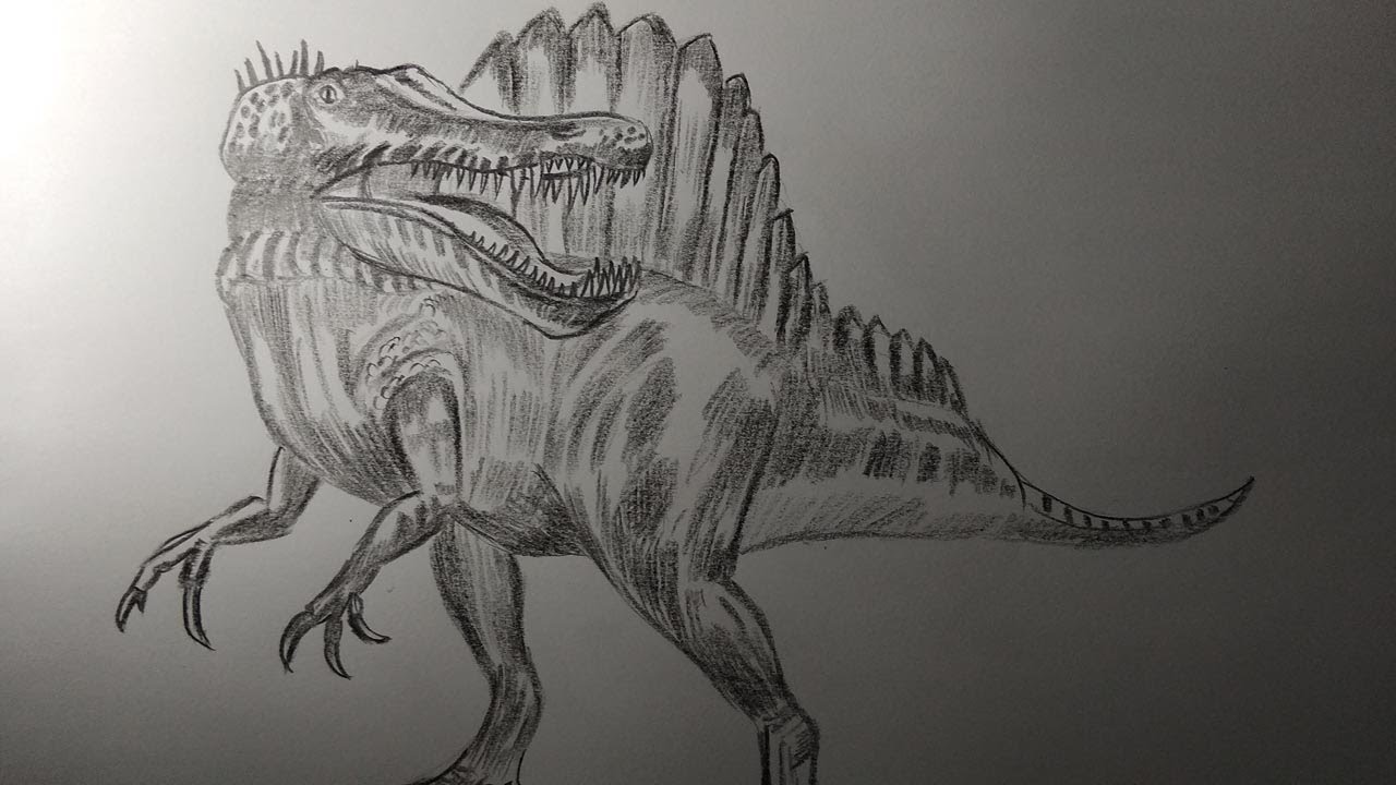 Detail Menggambar Dinosaurus T Rex Nomer 26