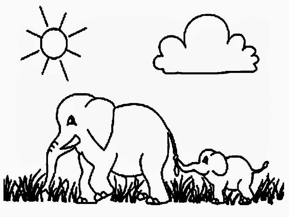 Detail Menggambar Hewan Gajah Nomer 34