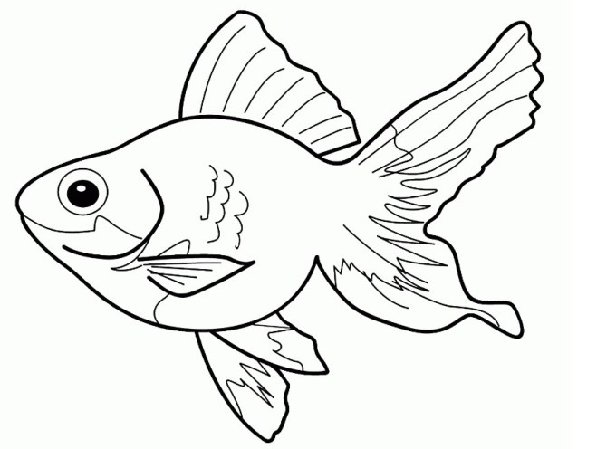 Detail Menggambar Hewan Ikan Nomer 19