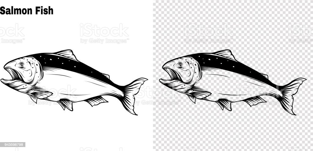 Detail Menggambar Hewan Ikan Nomer 31