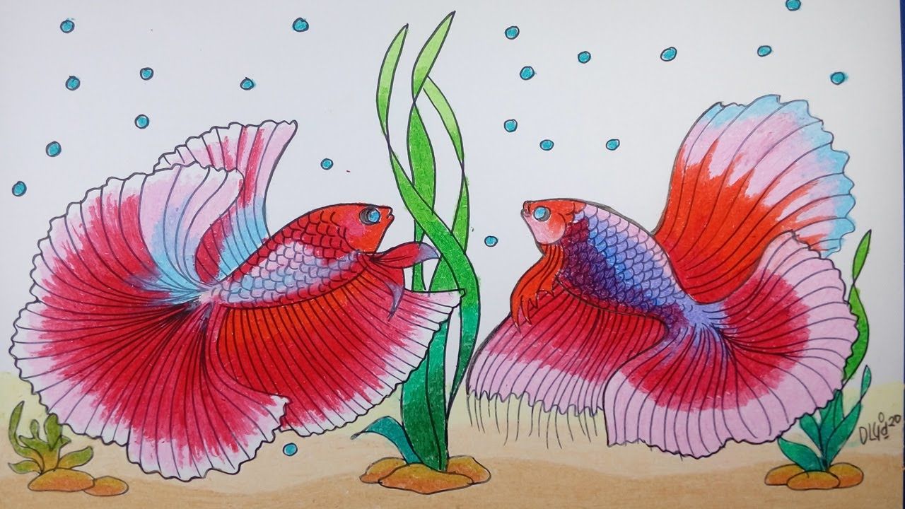 Detail Menggambar Ikan Di Aquarium Nomer 30