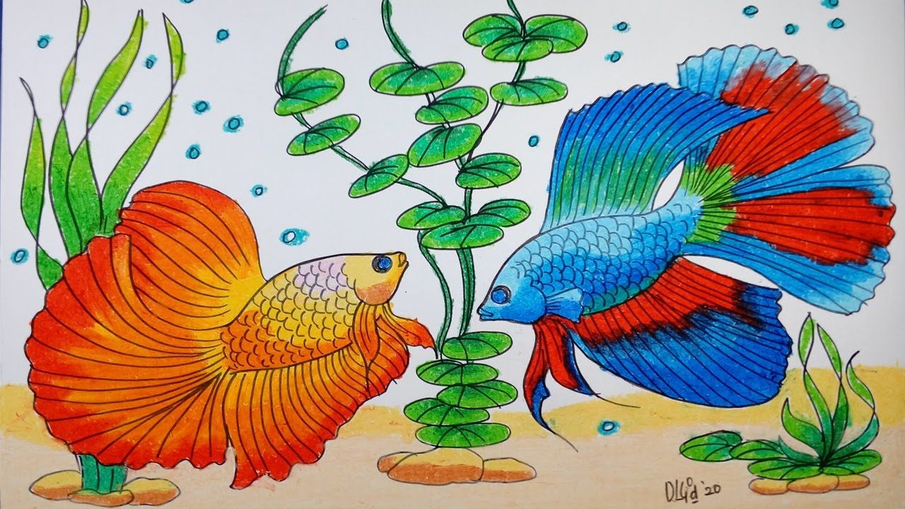 Detail Menggambar Ikan Di Aquarium Nomer 5