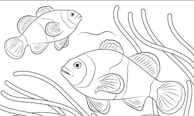 Detail Menggambar Ikan Di Aquarium Nomer 48