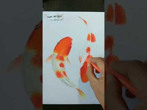 Detail Menggambar Ikan Koi Nomer 29