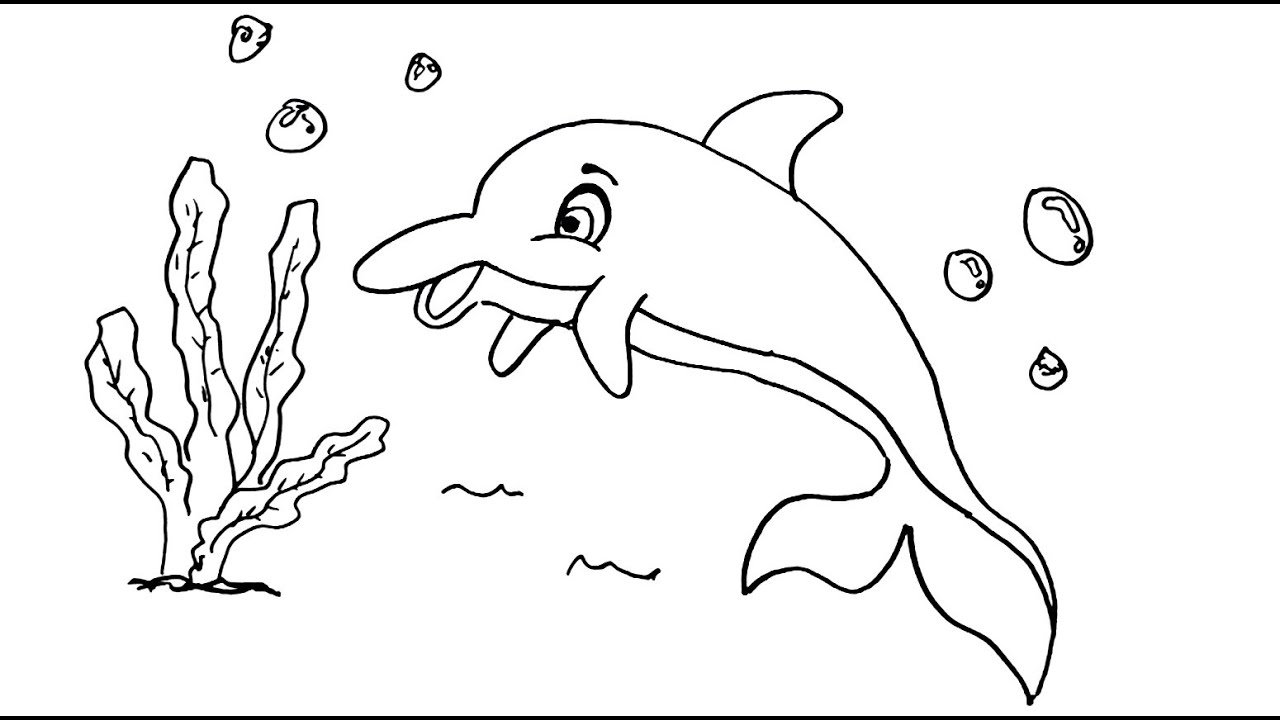 Detail Menggambar Ikan Lumba Lumba Nomer 5