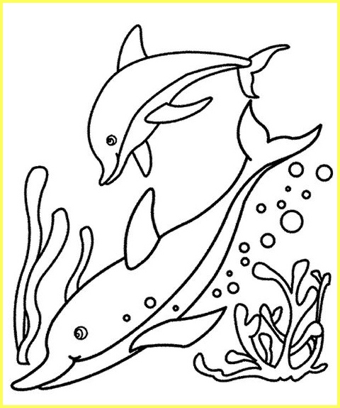 Detail Menggambar Ikan Lumba Lumba Nomer 49
