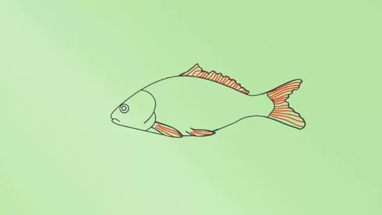 Detail Menggambar Ikan Nemo Nomer 26