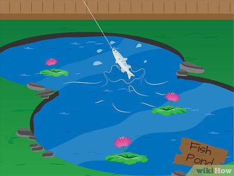 Detail Menggambar Kolam Ikan Nomer 30