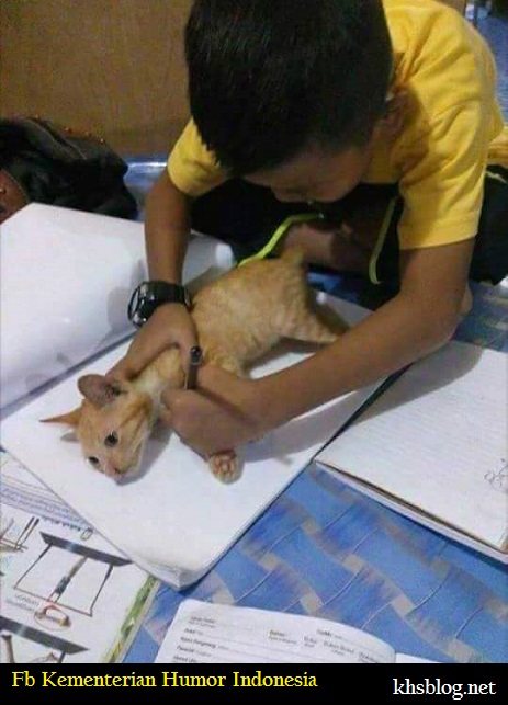 Detail Menggambar Kucing Dengan Mudah Nomer 53