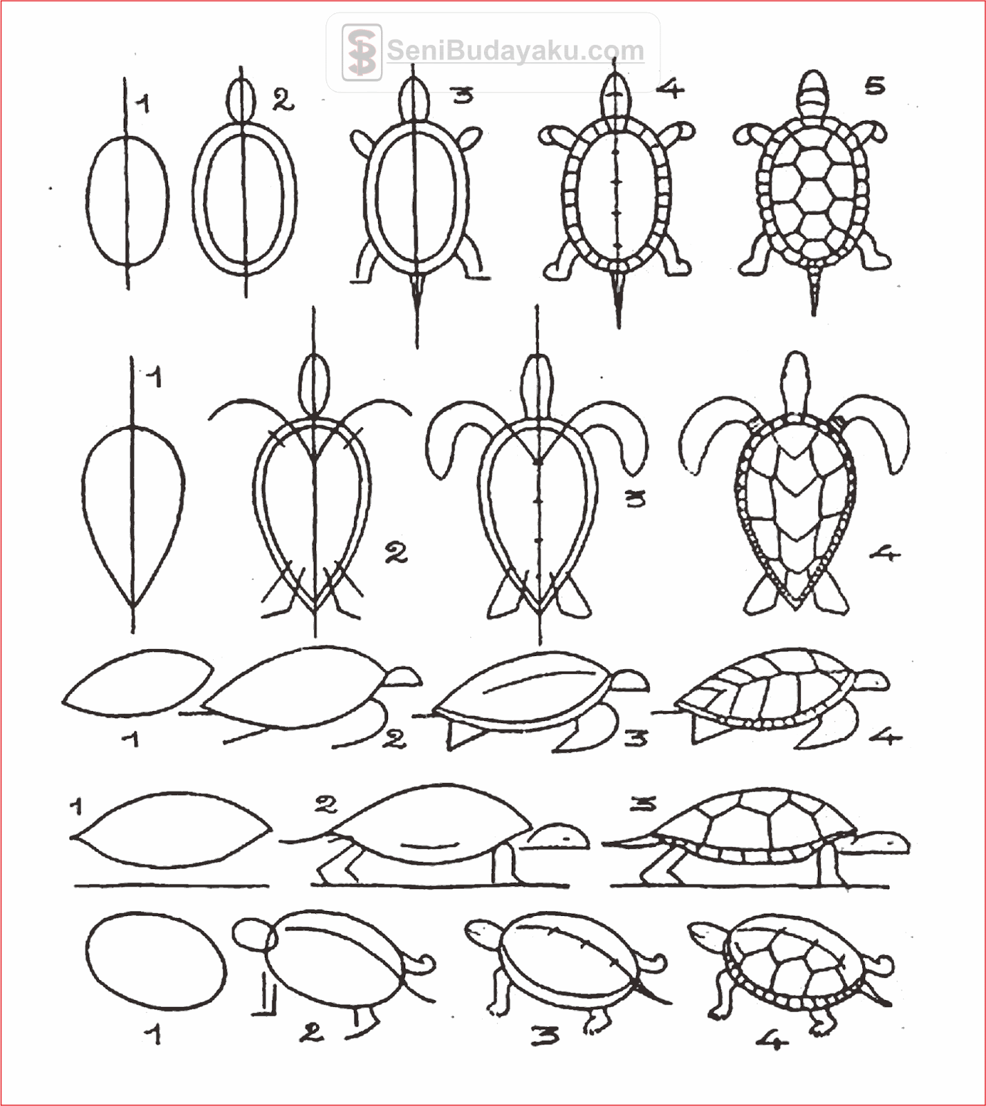 Detail Menggambar Kura Kura Dengan Mudah Nomer 44