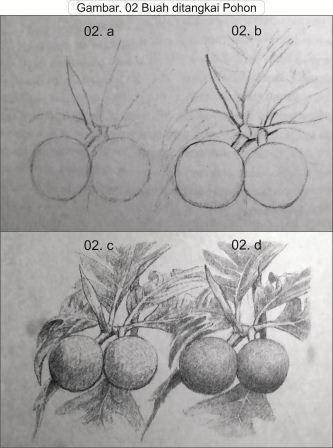 Detail Menggambar Model Buah Buahan Nomer 37