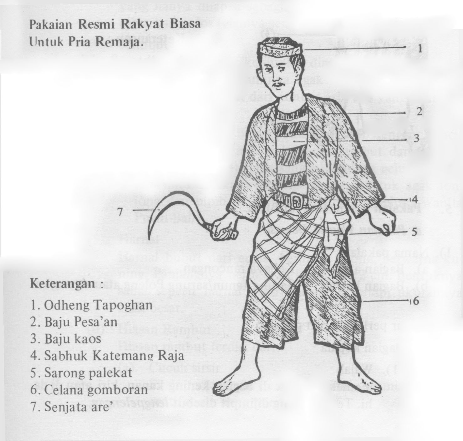 Detail Menggambar Pakaian Adat Nomer 44