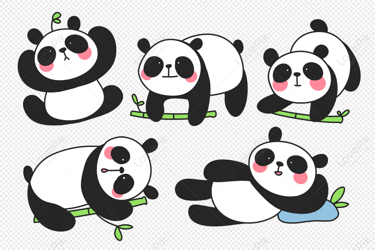 Detail Menggambar Panda Lucu Nomer 43
