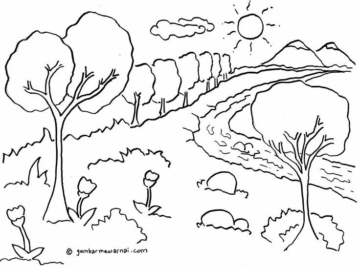 Detail Menggambar Pemandangan Hutan Nomer 24