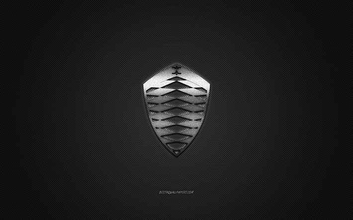 Detail Koenigsegg Emblem Nomer 48