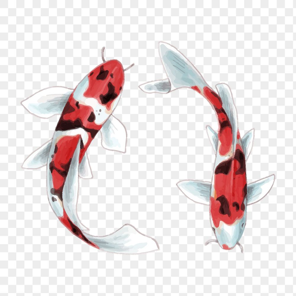 Detail Koi Fish Png Nomer 33