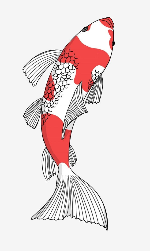 Detail Koi Fish Png Nomer 42