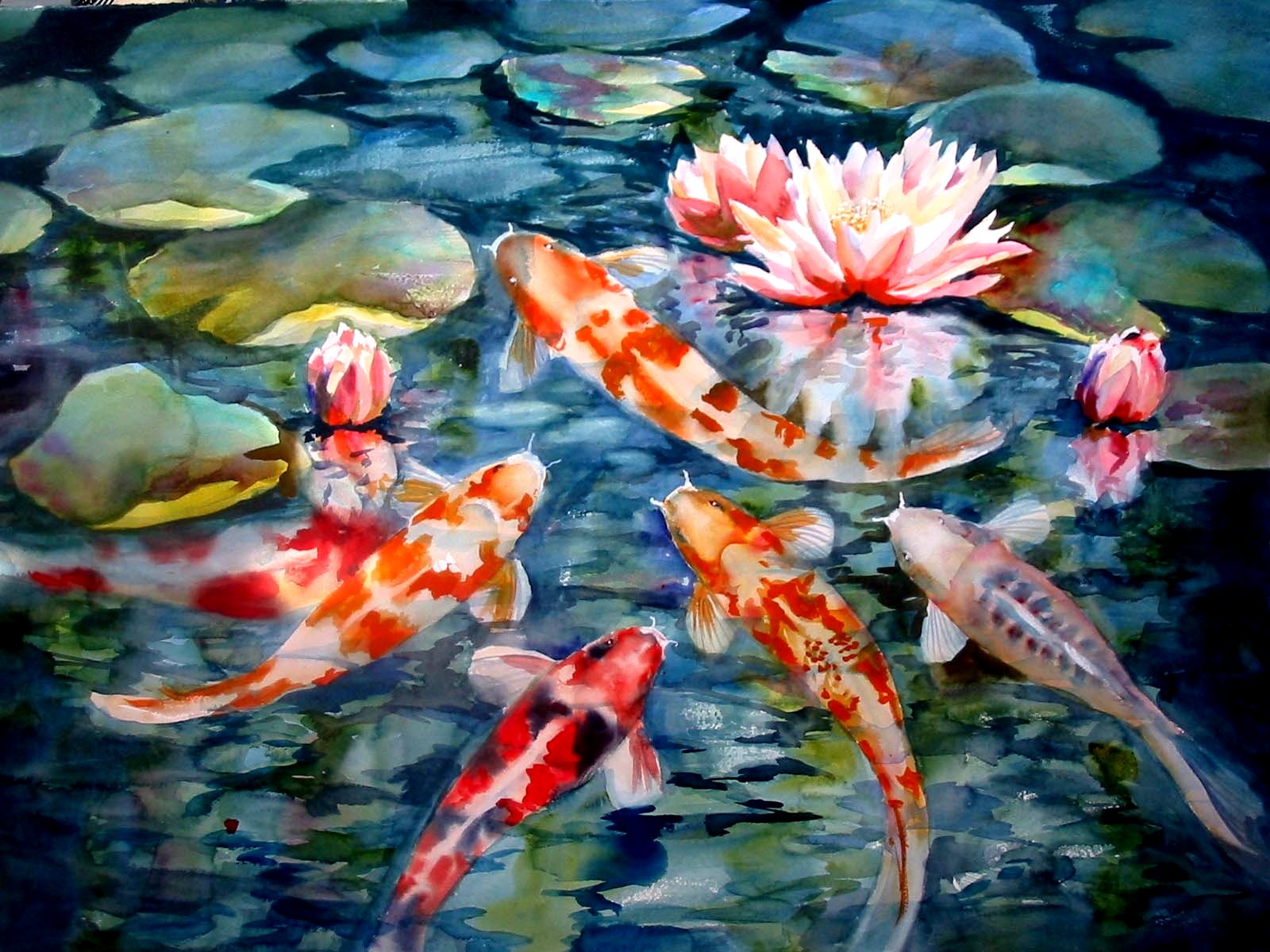 Detail Koi Fish Wallpaper Nomer 20