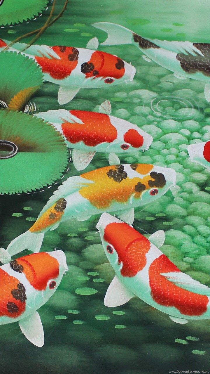 Detail Koi Fish Wallpaper Hd Nomer 25