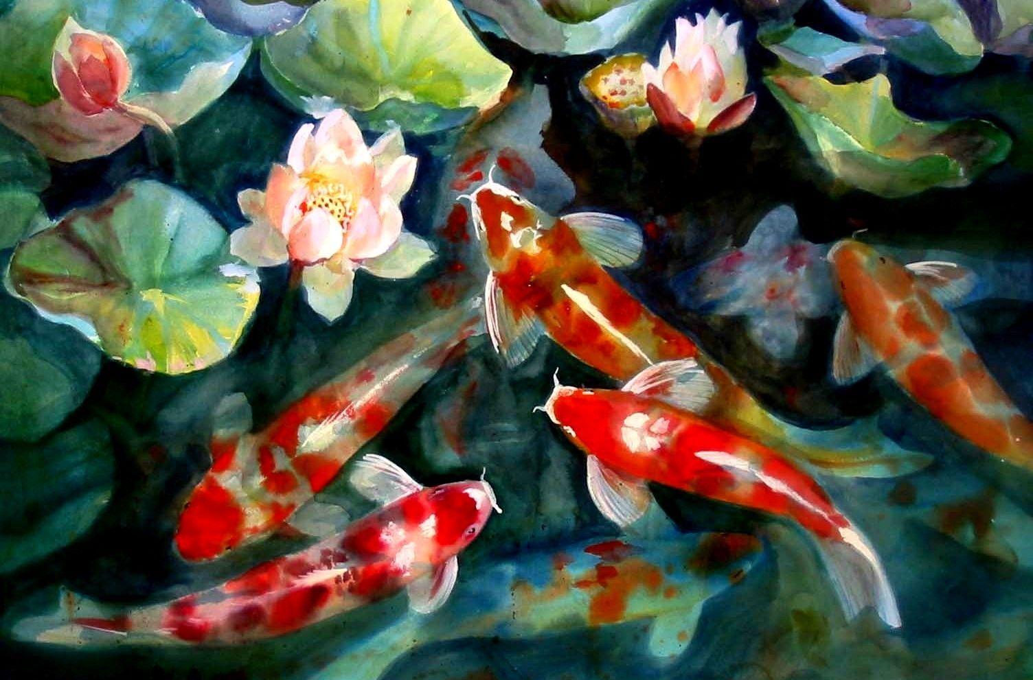 Detail Koi Fish Wallpaper Hd Nomer 49