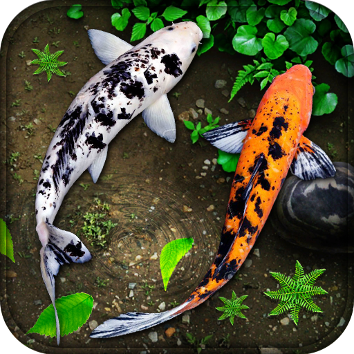 Detail Koi Live Wallpaper Full Version Nomer 38