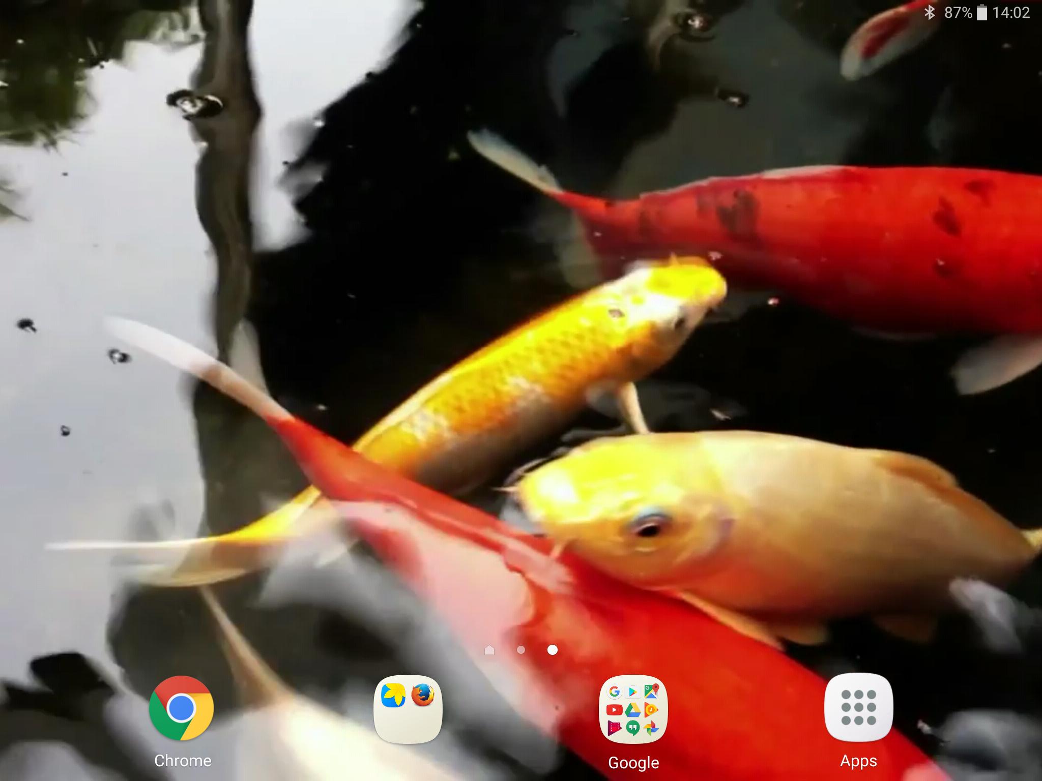 Detail Koi Live Wallpaper Pro Nomer 11