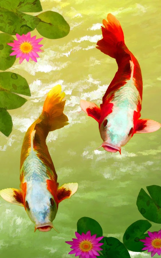 Detail Koi Live Wallpaper Pro Nomer 51