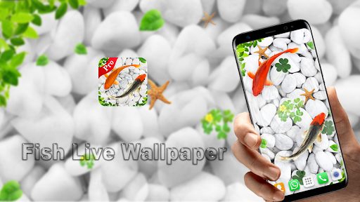 Detail Koi Live Wallpaper Pro Nomer 57