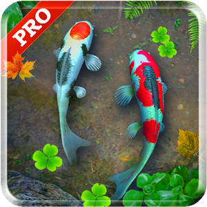 Detail Koi Live Wallpaper Pro Nomer 7