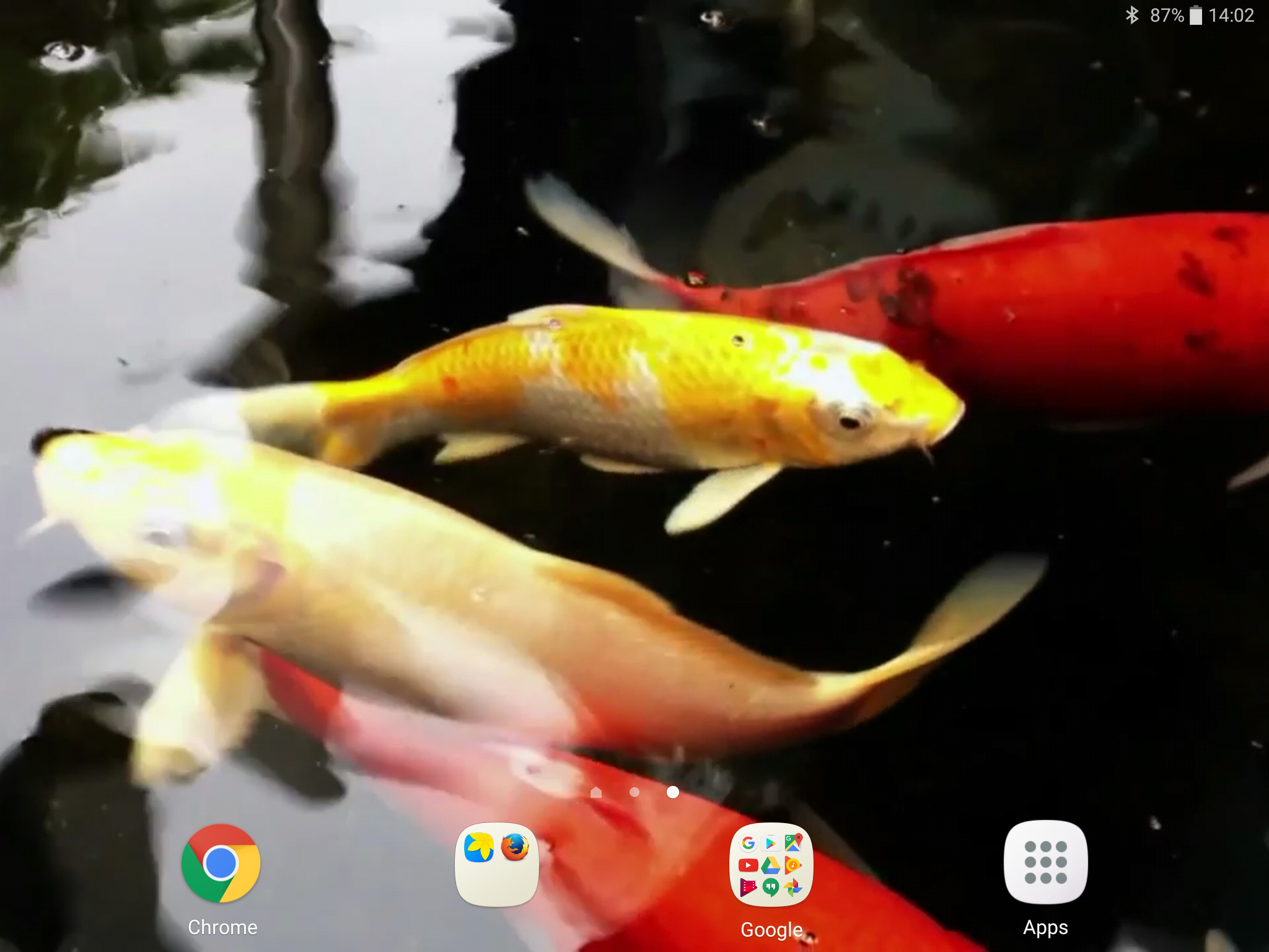 Detail Koi Live Wallpaper Pro Nomer 10