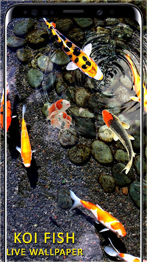 Detail Koi Pond Live Wallpaper Nomer 23