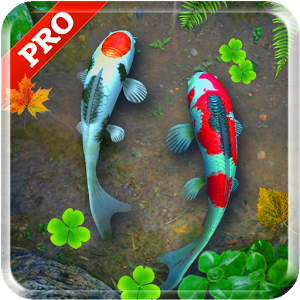 Detail Koi Pond Live Wallpaper Nomer 34