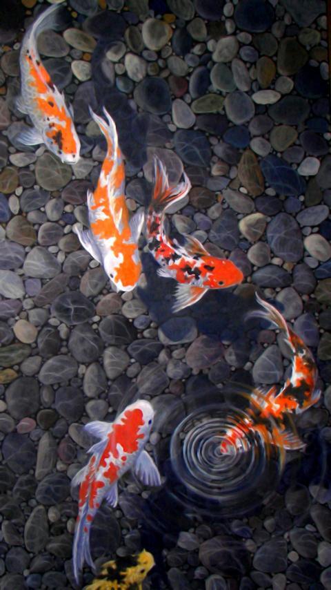 Detail Koi Pond Live Wallpaper Nomer 5