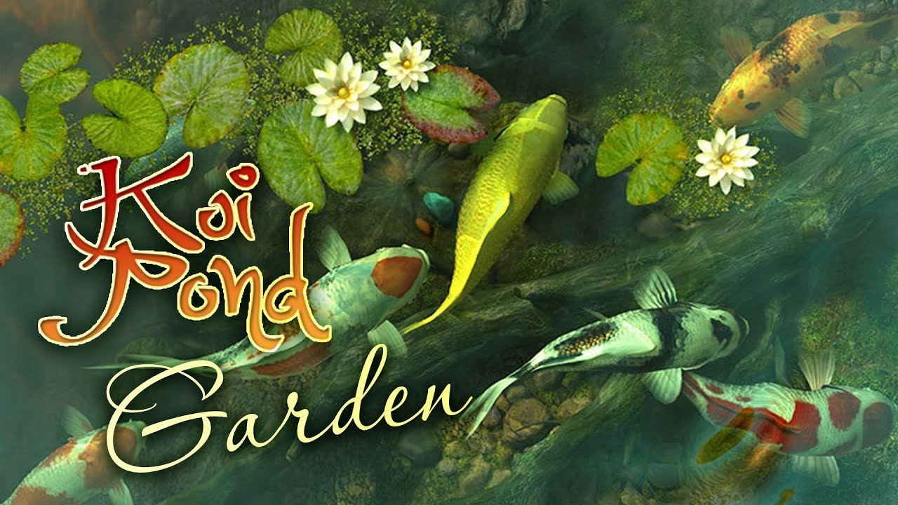 Detail Koi Pond Live Wallpaper Nomer 41