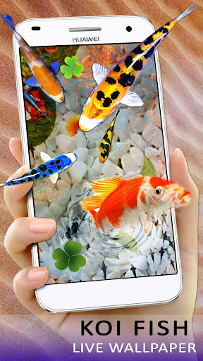 Detail Koi Pond Live Wallpaper Nomer 49