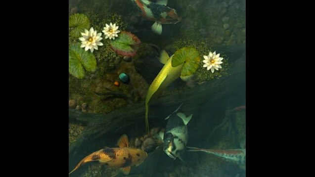 Detail Koi Pond Live Wallpaper Nomer 54