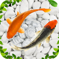 Detail Koi Pond Live Wallpaper Nomer 56