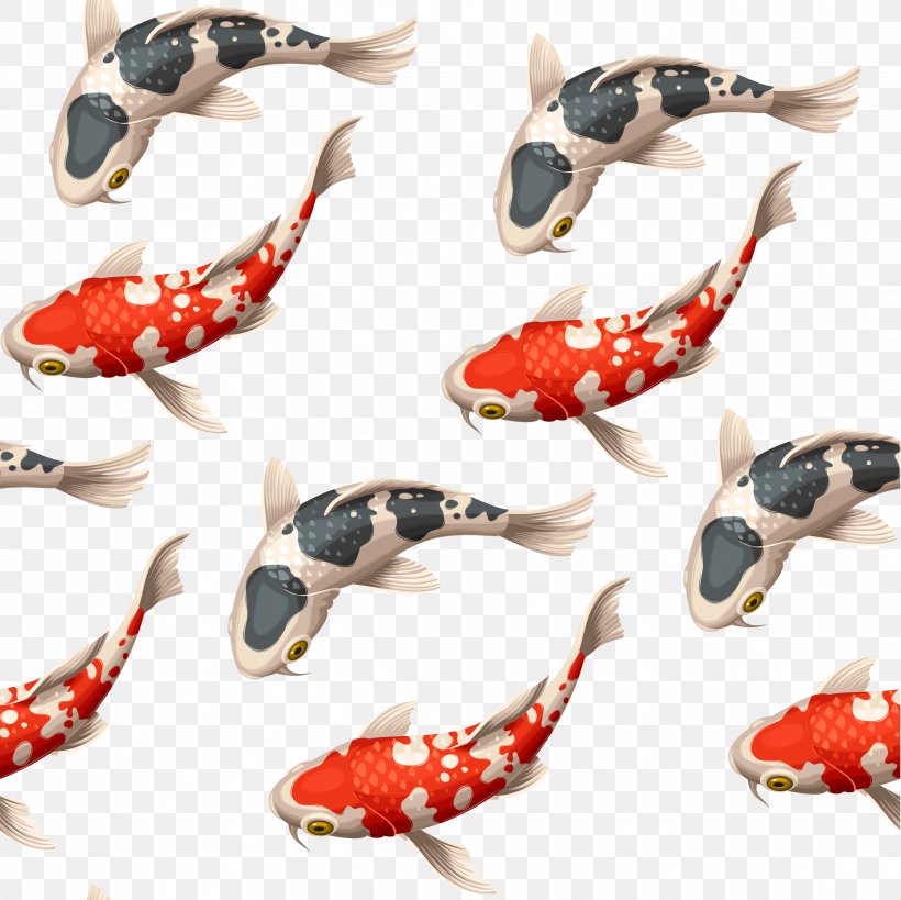 Detail Koi Vector Png Nomer 31