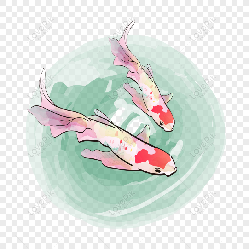 Detail Koi Vector Png Nomer 36